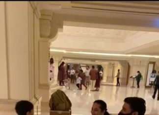 Suja Varunee Instagram - 🐕 The Alpha... The Beta 🐩... & The Little Cub 🐶 Always together ❤️🐾 #togetherforever #togetherness #familylove #familytime #alpha #beta #littlecub #playtime ITC Grand Chola, Chennai