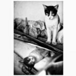 Sunder Ramu Instagram - #shotoniphone #streetphotography #travel