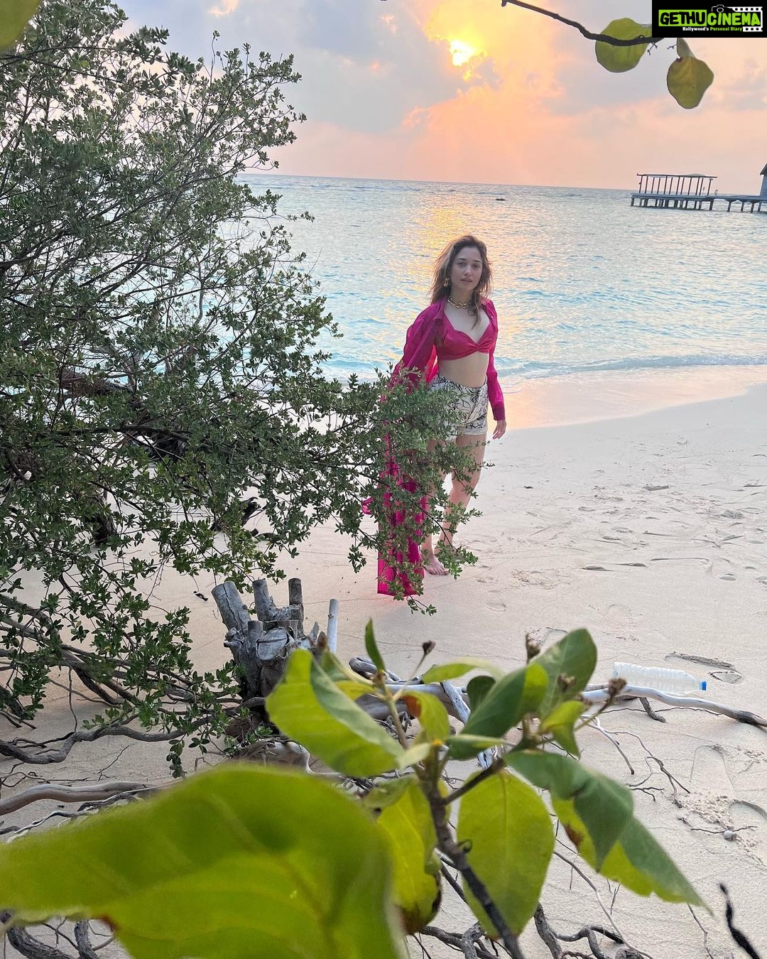 Tamannaah - 1.2 Million Likes - Most Liked Instagram Photos