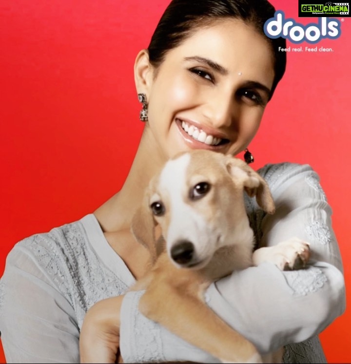 Vaani Kapoor Instagram - This Holi let's make a pledge to all animals, our pets and strays. Let's feed them right, hold them right, love them right and TREAT THEM RIGHT! We all know how harmful the Holi colours are for the animals. It induces skin allergies and inflammation and when ingested, it leads to stomach and gastro issues. They get scared and frightened when we splash water on them. @Droolsindia and I urge you not to include them in your celebration of playing with colors. Let's be kind and have compassion towards them. Let's make this HOLI safe for all! #Drools #DroolsIndia #Holi #playsafe #animalcare #protectstrays #sparethestray #TreatMeRight