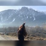 Vaibhavi Shandilya Instagram - ~ Kashmir Photo Dump ~ #martin #shooting #kashmir #heaven Kashmir A Heaven On Earth