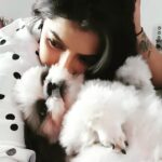 Varalaxmi Sarathkumar Instagram - Happy birthday to my life...❤❤❤ @guccivaralaxmi Can't believe it's been a year and you’re already 1.. You came into my life with so much love..you made me realise there's no greater love than a love of a pet to their human..u make me smile no matter what..ur the reason I come home too..u make me feel like the top of the world..I love u my darling..#happybirthdaygucci #happybirthday #truelove #oneyearold Hyderabad