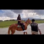 Yuvika Chaudhary Instagram - #yuvikachaudhary #kashmir #love #animals #tbt #cute