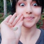 Adah Sharma Instagram - Tag someone who should be kissed by the Frog Prince 🐸❤ In the forests animals do not leave trash , Humans do । PLEASE BEHAVE LIKE ANIMALS #happyearthday #earthday , , , , , #100YeaRsOfAdahSharma #adahsharma #AdahKaKeeda #frog #frogsofinstagram #TeenDilMilRaheHain , , , P,S, The only kind of toxic boys i should be hanging out with। these poisonous green fellows thought i was a tree today and jumped on me । i was so excited i complied and beeed the best tree i could । they didnt love the camera though so the next one hour of us chilling together i dont have on record, just imprinted in my mind ❤