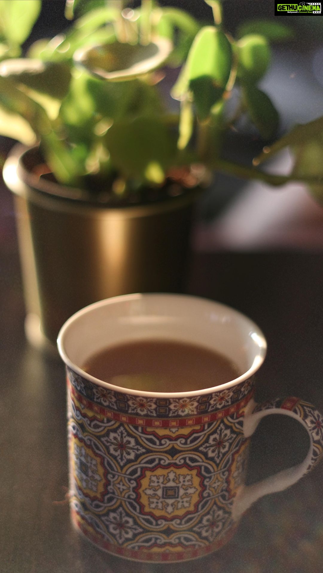 Aditi Chengappa - 202 Likes - Grateful for my morning tea ☕️
.
.
.
#gratitude #asmr #grateful #sothisislove #darjeeling #teatime #homecafe #reels