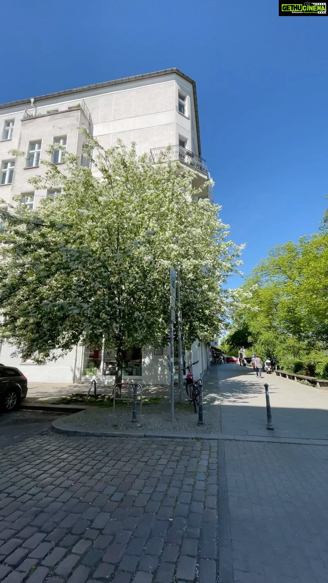 Aditi Chengappa - 173 Likes - Just a soothing tree video 🌳
.
.
.
#treelover #treehugger #spring #berlin #reels #naturereels