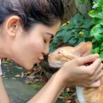 Aditi Sudhir Pohankar Instagram - That’s what he got me to do ! ———- . . . . . . #aaditipohankar #love #cute #happy #catsofinstagram #cats #catstagram #catlovers #catlife #instagood #instagram #instadaily #aashram #fun