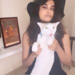 Aditi Sudhir Pohankar Instagram – When Toki and I decided to take the old town road ! 
.
.
.
.
#oldtownroadremix #aaditipohankar #catsoninstagram #she #happy #love #toki #smile #reels #reelsinstagram #instagood #instagram #fashion #ootd #hat #blackdress #lbd #fashionista #fashionnova #beauty