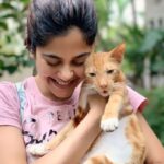 Aditi Sudhir Pohankar Instagram - When you know you are in Love 🥰 these furry creatures! Ahhhhh. . .. . . . . . . #aaditipohankar #she #cats #catsofinstagram #catsagram #love #cute #happy #beauty