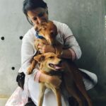 Amala Akkineni Instagram - For the past 9 years Champa and Chameli, Indies (who walked off the street into our home) - adopted us with such devotion and stood guard at our gate come rain or heat. One may not realise the value of an Indie - but my family and I do. In fact all of us in the animal-friendly community know their value. They are playful, quirky, devoted, protective, easy to care for - because they know how to care for themselves. They need food, water, and appreciation. Besides her ABC operation and annual vaccinations Champa went to the vet only once - on her way out of this world. May her tribe be blessed and her journey to the great Dog resting place be surrounded by my gratitude 🙏🏼 Love you forever Champa. Chameli and I will miss you terribly! 💛🙏🏼🥰