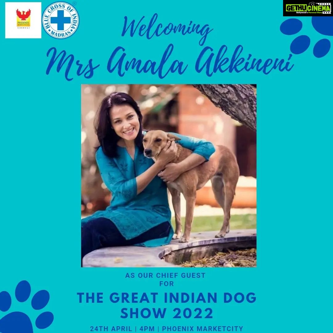 Amala Akkineni Instagram - An ardent animal lover, dancer & a woman of many accolades. Truly delighted to have you amongst us for the event ma'am! Welcoming Mrs Amala Akkineni @akkineniamala as our chief guest for The Great Indian Dog Show 2022!