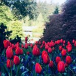 Amy Jackson Instagram - Bit of Springy stuff