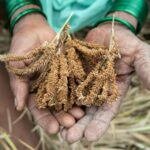 Anushka Sharma Instagram - When I first tried @slurrpfarm at home, I just fell in love 😍 I met the 2 mothers who started it and we instantly connected on the need to change the way kids and families eat. Excited to announce that I am now a strategic partner and investor at Wholsum Foods and brand ambassador for Slurrp Farm, along with other soon to-be-launched brands at Wholsum! Feeding our children right today is not enough; we have to make sustainable food choices, to leave them a better planet ♻️❤️🌎 Let’s put millets in the centre of our plates. Let’s give children better food, better memories and a better tomorrow #SlurrpFarm #MadeBy2Mothers #NoJunk #Millets #Collab