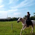 Aparna Das Instagram - I am in Love ❤️ Also this is an Old video and I am a better rider now 😎 #showoff #rider #horse #lovewithhorses #loveridinghorses #love
