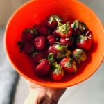 Aparna Das Instagram - Some berries ?