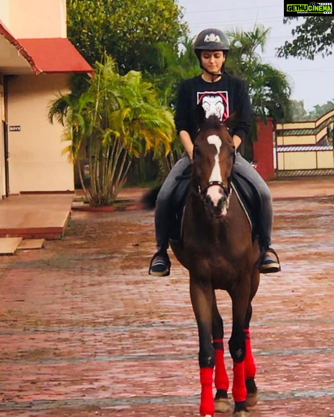 Aparna Das Instagram - Fine 🐎 Black Stallion - Horse Riding Academy