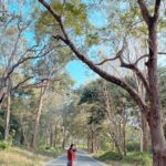 Aparna Das Instagram - Freeee 💫 Wayanad- The palace of Natural Beauty.