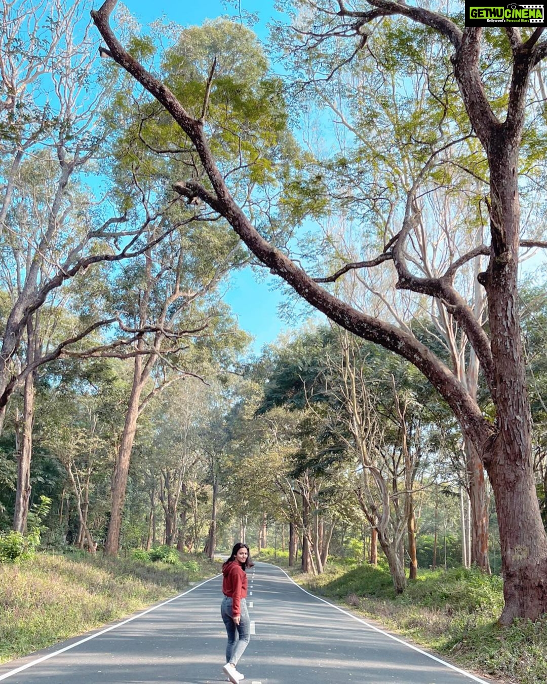 Aparna Das Instagram - Freeee 💫 Wayanad- The palace of Natural Beauty.