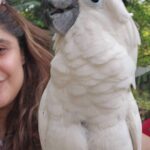 Archana Instagram - When I serenaded to this #whitecuckatoo bianca Saltt Karjat