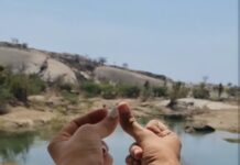 Archana Instagram - Chutki bajate hi... 🤌🏻✨️🪄 . . . #traveldiaries #travellog #couplegoals #udaipur #cheetahgarhresort #udaipur #safari #leopard #reelitfeelit #trending #comments #india #travel #ilovemyindia #rjarchanapania #archanapania #akshaysharma WelcomHeritage Cheetahgarh Resort & Spa