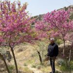 Ashish Vidyarthi Instagram - Colours of mother Earth .. Beauty has many shades..Appreciate and preserve . Gobustan National Park