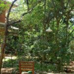 Ashwathy Warrier Instagram - A Beautiful morning at @adishaktitheatre ! Adishakti Theatre