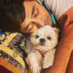 Chinmayi Instagram – Potato’s fav person in the world.