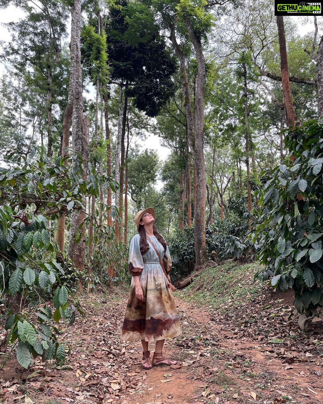 Dia Mirza Instagram - What makes us happy? Nature π³ What makes us mindful? Nature π» What heals us? Nature π¦ Make time #ForNature everyday π Because we are nature. Only when we move away from nature do we lose balance and ourselves. βLook deep into nature, and then you will understand everything better.β - Albert Einstein #WednesdayWisdom #GenerationRestoration #OnePlanetOnePeople #ForPeopleForPlanet #SDGs #GoOutside #SeekNature Coorg,Karnataka