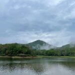 Dia Mirza Instagram – This year’s #ClubNature CEO’s forum was at Periyar National Park. An annual intervention started by @wildlifetrustofindia @vivek4wild to take CEO’s into the wild (of which i am a founder member).The experience of the wild helps CEO’s transcend board room conversation to wide ranging efforts in conservation of the wild. Mother nature does the best job in helping people understand that we cannot survive without her. Her well being is our well being. 

The Periyar Tiger and Elephant Reserve is a protected area encompassing 925 km2, of which 305 km2 of the core zone was declared as the Periyar National Park in 1982. The park is a repository of rare, endemic, and endangered flora and fauna and forms the major watershed of two important rivers of Kerala: the Periyar and the Pamba. 

There are 35 species of mammals recorded in the park, including many threatened species. It is an important tiger and elephant reserve. 

About 266 species of birds can be seen in the park, including migrants. Endemic birds include the Malabar grey hornbill, Nilgiri wood pigeon, blue-winged parakeet, Nilgiri flycatcher, crimson-backed sunbird, and black-necked stork. 

130 butterfly species, fish, amphibians and reptiles make this park a rich biodiversity haven. 

The park is made up of tropical evergreen and moist deciduous forests, grasslands, stands of eucalyptus, and lake and river ecosystems.

The forest is protected by green soldiers #VanRakshaks who endure a three day journey by foot to reach the core region of the forest. During this three day trek they contend with leeches, wade and swim through streams that are neck deep in places carrying their rations on their head. This apart from contending with many other forms of threat to life. My deepest respect, awe and gratitude for them 🙏🏻💚 

I always learn a lot and my understanding of conservation efforts, deepens each time i go a forest with @vivek4wild. Thank you for making this visit to Kerala truly memorable. The heavy unseasonal rains were a matter of concern but didn’t stop us from going into the wild 🐯🐘💚

Thank you WildLife Trust of India for strengthening my purpose. Periyar Tiger Reserve – Thekkady