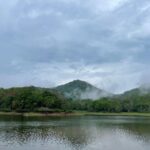 Dia Mirza Instagram - This year’s #ClubNature CEO’s forum was at Periyar National Park. An annual intervention started by @wildlifetrustofindia @vivek4wild to take CEO’s into the wild (of which i am a founder member).The experience of the wild helps CEO’s transcend board room conversation to wide ranging efforts in conservation of the wild. Mother nature does the best job in helping people understand that we cannot survive without her. Her well being is our well being. The Periyar Tiger and Elephant Reserve is a protected area encompassing 925 km2, of which 305 km2 of the core zone was declared as the Periyar National Park in 1982. The park is a repository of rare, endemic, and endangered flora and fauna and forms the major watershed of two important rivers of Kerala: the Periyar and the Pamba. There are 35 species of mammals recorded in the park, including many threatened species. It is an important tiger and elephant reserve. About 266 species of birds can be seen in the park, including migrants. Endemic birds include the Malabar grey hornbill, Nilgiri wood pigeon, blue-winged parakeet, Nilgiri flycatcher, crimson-backed sunbird, and black-necked stork. 130 butterfly species, fish, amphibians and reptiles make this park a rich biodiversity haven. The park is made up of tropical evergreen and moist deciduous forests, grasslands, stands of eucalyptus, and lake and river ecosystems. The forest is protected by green soldiers #VanRakshaks who endure a three day journey by foot to reach the core region of the forest. During this three day trek they contend with leeches, wade and swim through streams that are neck deep in places carrying their rations on their head. This apart from contending with many other forms of threat to life. My deepest respect, awe and gratitude for them 🙏🏻💚 I always learn a lot and my understanding of conservation efforts, deepens each time i go a forest with @vivek4wild. Thank you for making this visit to Kerala truly memorable. The heavy unseasonal rains were a matter of concern but didn’t stop us from going into the wild 🐯🐘💚 Thank you WildLife Trust of India for strengthening my purpose. Periyar Tiger Reserve - Thekkady