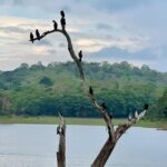 Dia Mirza Instagram - This year’s #ClubNature CEO’s forum was at Periyar National Park. An annual intervention started by @wildlifetrustofindia @vivek4wild to take CEO’s into the wild (of which i am a founder member).The experience of the wild helps CEO’s transcend board room conversation to wide ranging efforts in conservation of the wild. Mother nature does the best job in helping people understand that we cannot survive without her. Her well being is our well being. The Periyar Tiger and Elephant Reserve is a protected area encompassing 925 km2, of which 305 km2 of the core zone was declared as the Periyar National Park in 1982. The park is a repository of rare, endemic, and endangered flora and fauna and forms the major watershed of two important rivers of Kerala: the Periyar and the Pamba. There are 35 species of mammals recorded in the park, including many threatened species. It is an important tiger and elephant reserve. About 266 species of birds can be seen in the park, including migrants. Endemic birds include the Malabar grey hornbill, Nilgiri wood pigeon, blue-winged parakeet, Nilgiri flycatcher, crimson-backed sunbird, and black-necked stork. 130 butterfly species, fish, amphibians and reptiles make this park a rich biodiversity haven. The park is made up of tropical evergreen and moist deciduous forests, grasslands, stands of eucalyptus, and lake and river ecosystems. The forest is protected by green soldiers #VanRakshaks who endure a three day journey by foot to reach the core region of the forest. During this three day trek they contend with leeches, wade and swim through streams that are neck deep in places carrying their rations on their head. This apart from contending with many other forms of threat to life. My deepest respect, awe and gratitude for them 🙏🏻💚 I always learn a lot and my understanding of conservation efforts, deepens each time i go a forest with @vivek4wild. Thank you for making this visit to Kerala truly memorable. The heavy unseasonal rains were a matter of concern but didn’t stop us from going into the wild 🐯🐘💚 Thank you WildLife Trust of India for strengthening my purpose. Periyar Tiger Reserve - Thekkady