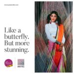 Dushara Vijayan Instagram - Glorified beauty! #palamsilks#sunderramuphotography#magnacollection#festivewear#diwalilaunch