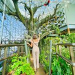 Erica Fernandes Instagram - Animals lovers try this place out if you happen to visit or be in dubai . These are rescued animals , birds and reptiles they care for . Injured ones are nursed back to health in their care unit facility. The Green Planet Dubai