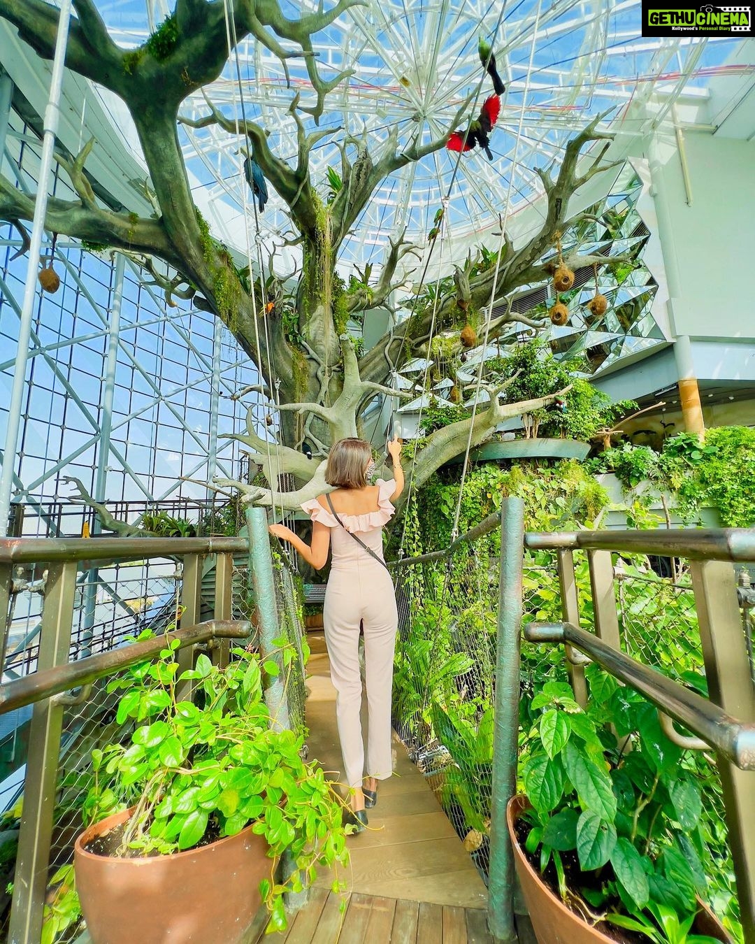 Erica Fernandes Instagram - Animals lovers try this place out if you happen to visit or be in dubai . These are rescued animals , birds and reptiles they care for . Injured ones are nursed back to health in their care unit facility. The Green Planet Dubai