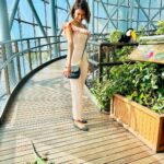 Erica Fernandes Instagram - Animals lovers try this place out if you happen to visit or be in dubai . These are rescued animals , birds and reptiles they care for . Injured ones are nursed back to health in their care unit facility. The Green Planet Dubai