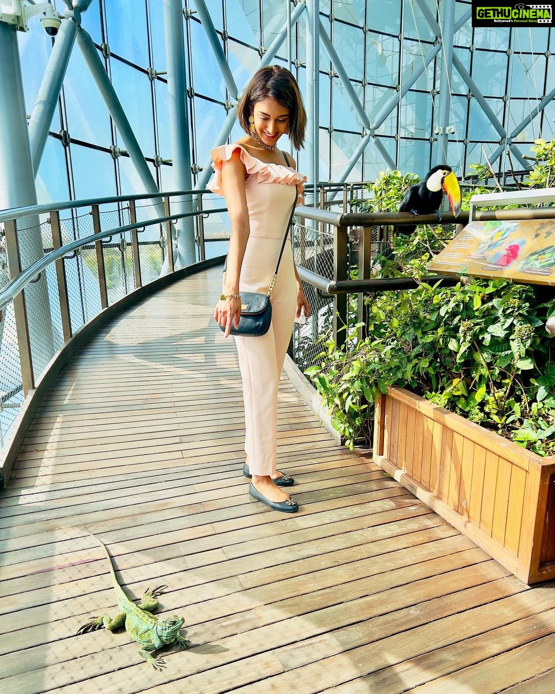 Erica Fernandes Instagram - Animals lovers try this place out if you happen to visit or be in dubai . These are rescued animals , birds and reptiles they care for . Injured ones are nursed back to health in their care unit facility. The Green Planet Dubai