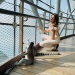 Erica Fernandes Instagram - A good morning stretch is very vital, and as you can see I am learning from the best 😉 #ringedtailedlemur The Green Planet Dubai