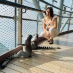 Erica Fernandes Instagram - A good morning stretch is very vital, and as you can see I am learning from the best 😉 #ringedtailedlemur The Green Planet Dubai