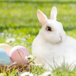 Evelyn Sharma Instagram - Have you ever wondered why there is an #Easterbunny? 🐰 And why he brings colourful eggs with him? 🥚 Tonight’s #bedtimestory might give you the answer… 🤓📚 Stay tuned for this beautiful old folk tale and first episode on @bedtimestoriesbyevelyn 💖 #bedtimestoriesbyevelyn #sweetdreams #evelynsharma #folktales #fairytales #easter #happyeaster