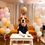 Gajala Instagram - Happy Birthday Buccy ♥️