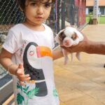 Ganesh Venkatraman Instagram - Every Sunday is a new adventure ❤️❤️ Spreading love one puppy at a time 🐶🐶 #ohmydog #daddydaughter  #SamairaGanesh  #doggylove #puppylove #unconditionallove