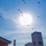 Hina Khan Instagram – Slow down.. shot this SloMo In Egypt right outside a mosque.. feels like life is much more beautiful in slow motion.. #reels #reelsinstagram #reelitfeelit #trending #ReelsWithHK