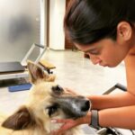 Ileana D'Cruz Instagram - If you really think I’m ever gonna look at a human like this……Hahahahahahahahahhaha #doggosoverhumans @orotheindie 🥹♥️