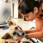 Ileana D'Cruz Instagram - If you really think I’m ever gonna look at a human like this……Hahahahahahahahahhaha #doggosoverhumans @orotheindie 🥹♥️