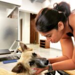 Ileana D'Cruz Instagram - If you really think I’m ever gonna look at a human like this……Hahahahahahahahahhaha #doggosoverhumans @orotheindie 🥹♥️