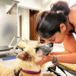 Ileana D'Cruz Instagram - If you really think I’m ever gonna look at a human like this……Hahahahahahahahahhaha #doggosoverhumans @orotheindie 🥹♥️