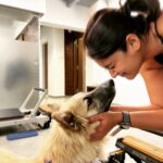 Ileana D'Cruz Instagram - If you really think I’m ever gonna look at a human like this……Hahahahahahahahahhaha #doggosoverhumans @orotheindie 🥹♥️