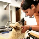 Ileana D'Cruz Instagram - If you really think I’m ever gonna look at a human like this……Hahahahahahahahahhaha #doggosoverhumans @orotheindie 🥹♥️