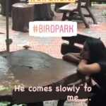 Ishika Singh Instagram – It was lovely spending time with this birdie …… can spend hours with these beautiful birds 🦅 #birdsofinstagram #birdphotography #birdlovers #birds_captures #birdwatching #birds_nature #closetonature #meandyou