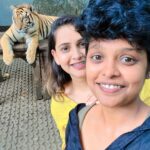 Jacqueline Fernandas Instagram - Tiger park #awesomepattaya @siambayshorepattaya @blessingtourschennai @larkholidays_thailand